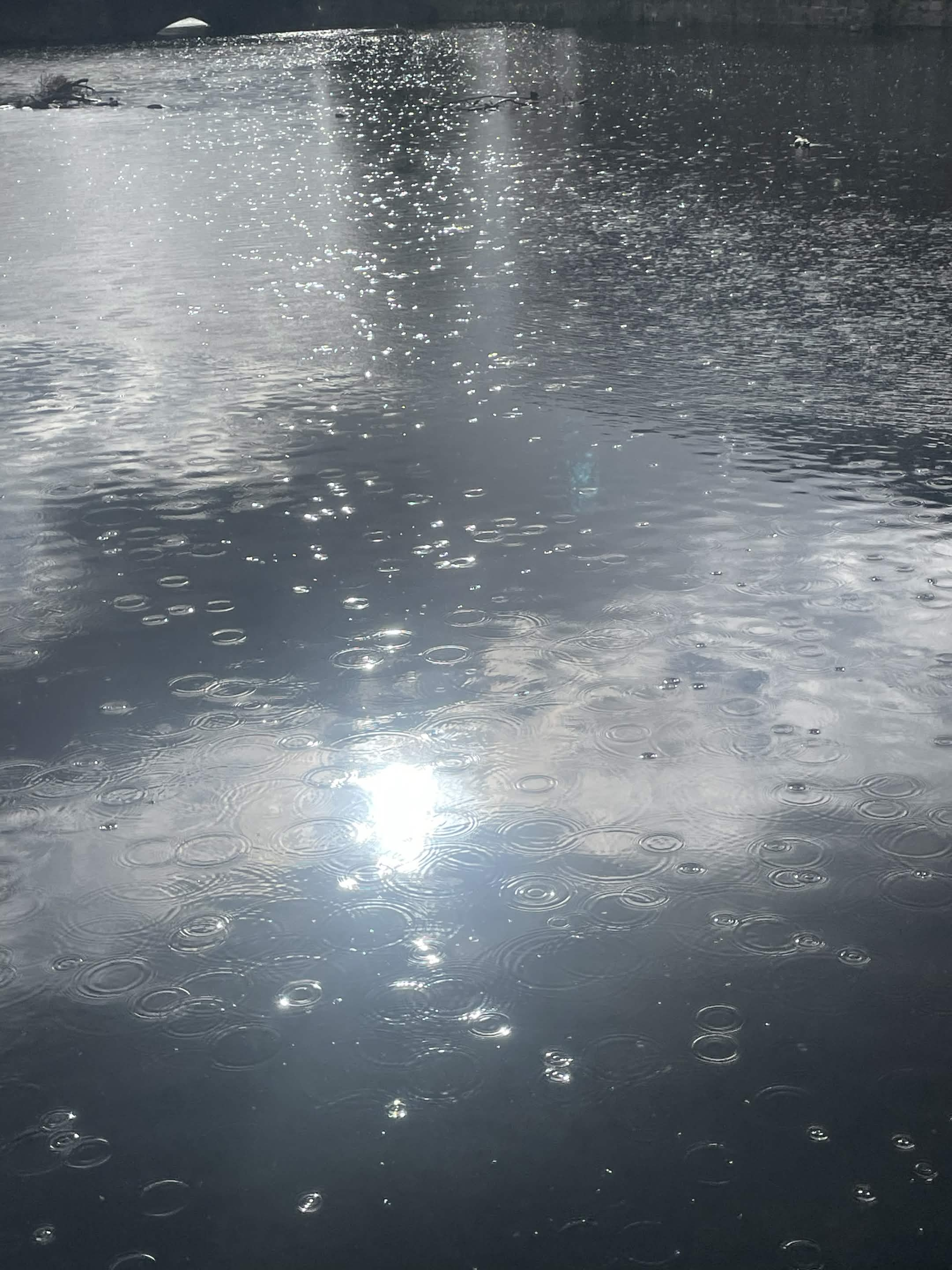 temporary image